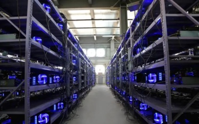 Expansive mining farm hosting diversified mining rigs for multiple cryptocurrencies