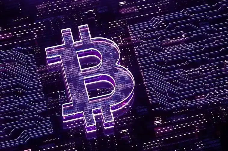 Close-up of a Bitcoin ASIC miner showing intricate circuitry in a green-powered data center